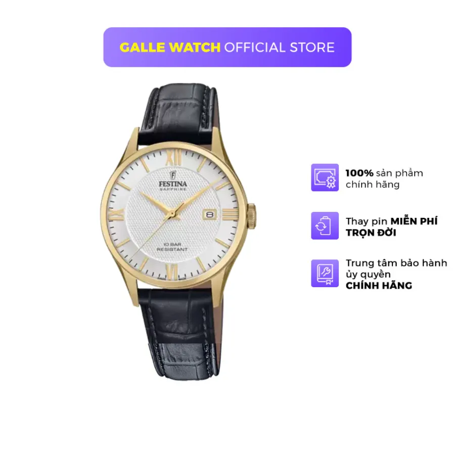Ảnh Đồng hồ nam dây da Festina F20010/2 chống nước 10 ATM có thể bơi lặn, có lịch ngày, mặt kính Sapphire chống xước cao cấp 1