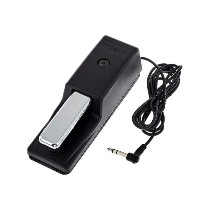 Ảnh Pedal Vang Roland DP-10 chuyên dụng cho Đàn điện, thiết kế chống trượt, dây cắm 2.2m- Việt Thương Music 2