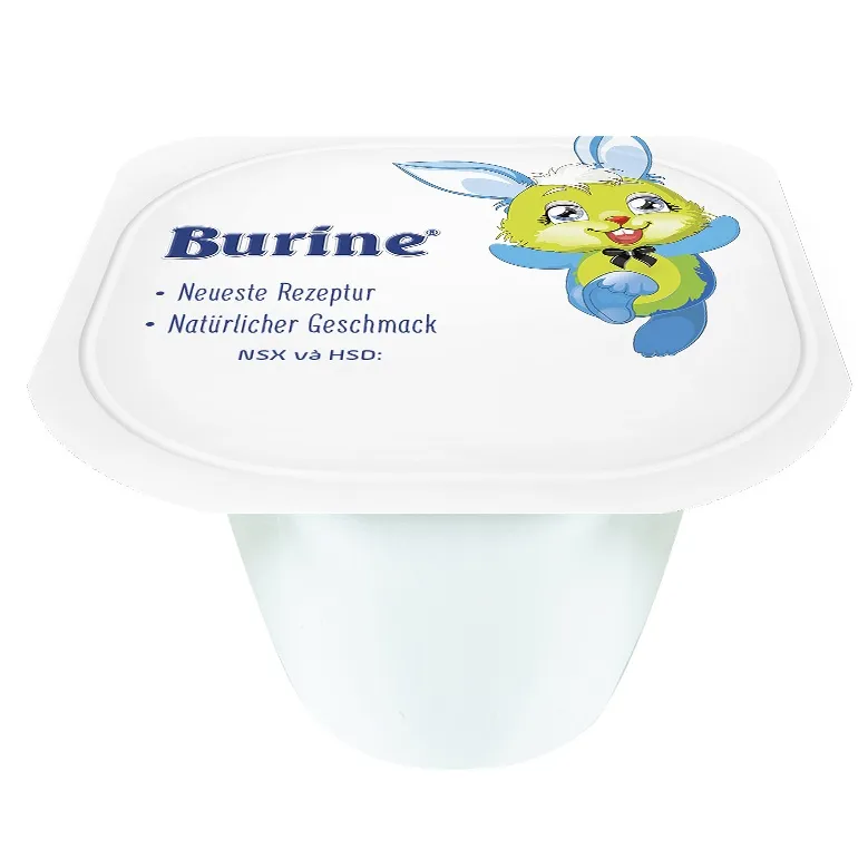 Ảnh Pudding Ăn Dặm Burine Vị Vani Dành Cho Bé Từ 6 Tháng Tuổi,  Bổ Sung Năng Lượng 3