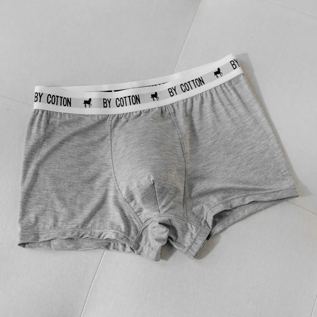 Ảnh Quần Boxer Nam By Cotton Cao Cấp Multi Color 1