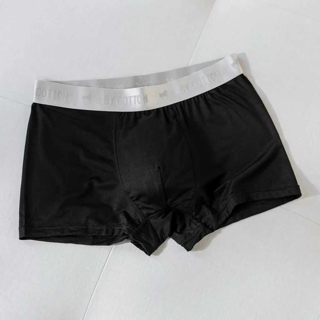 Ảnh Quần Boxer Nam By Cotton Cao Cấp Multi Color 2
