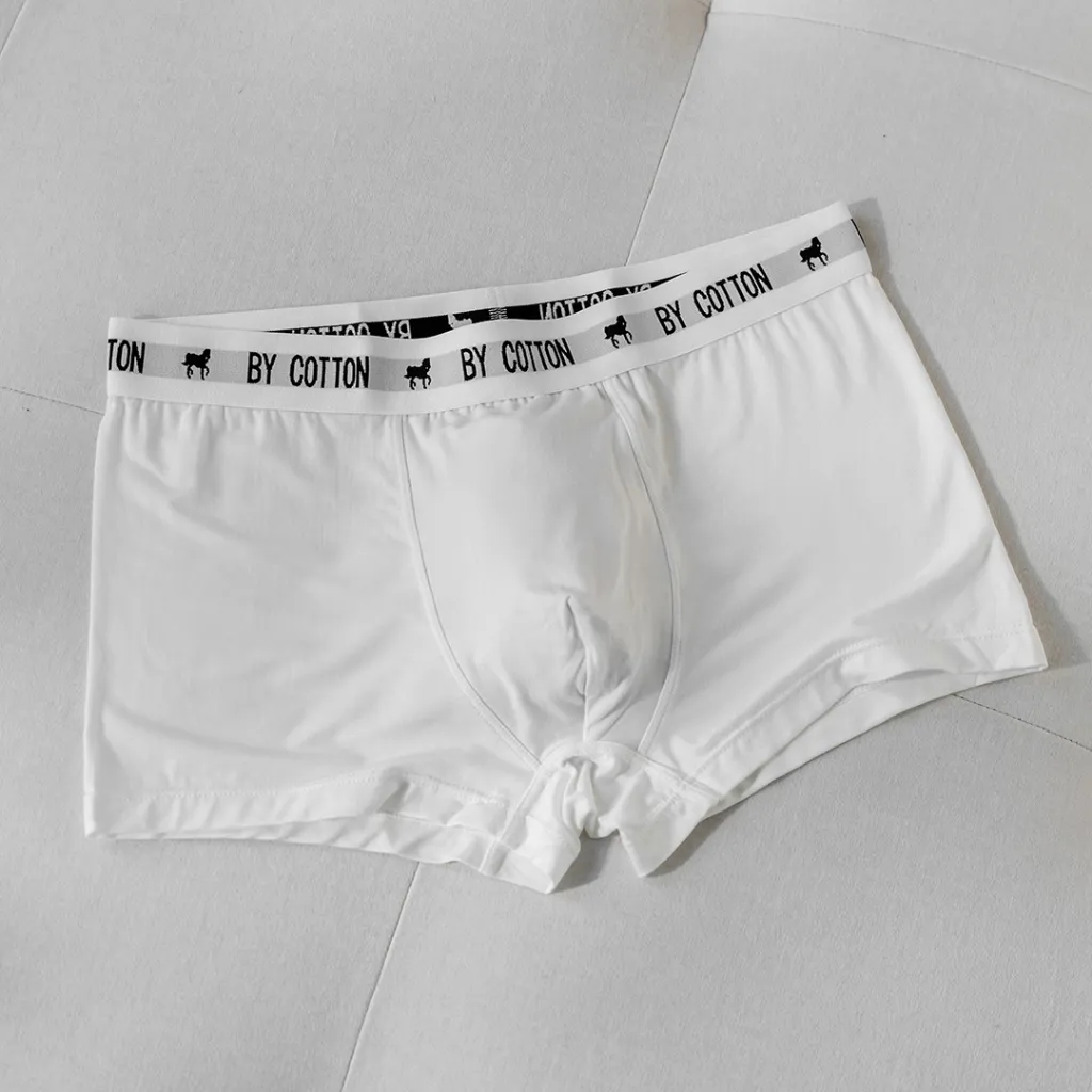 Ảnh Quần Boxer Nam By Cotton Cao Cấp Multi Color 3