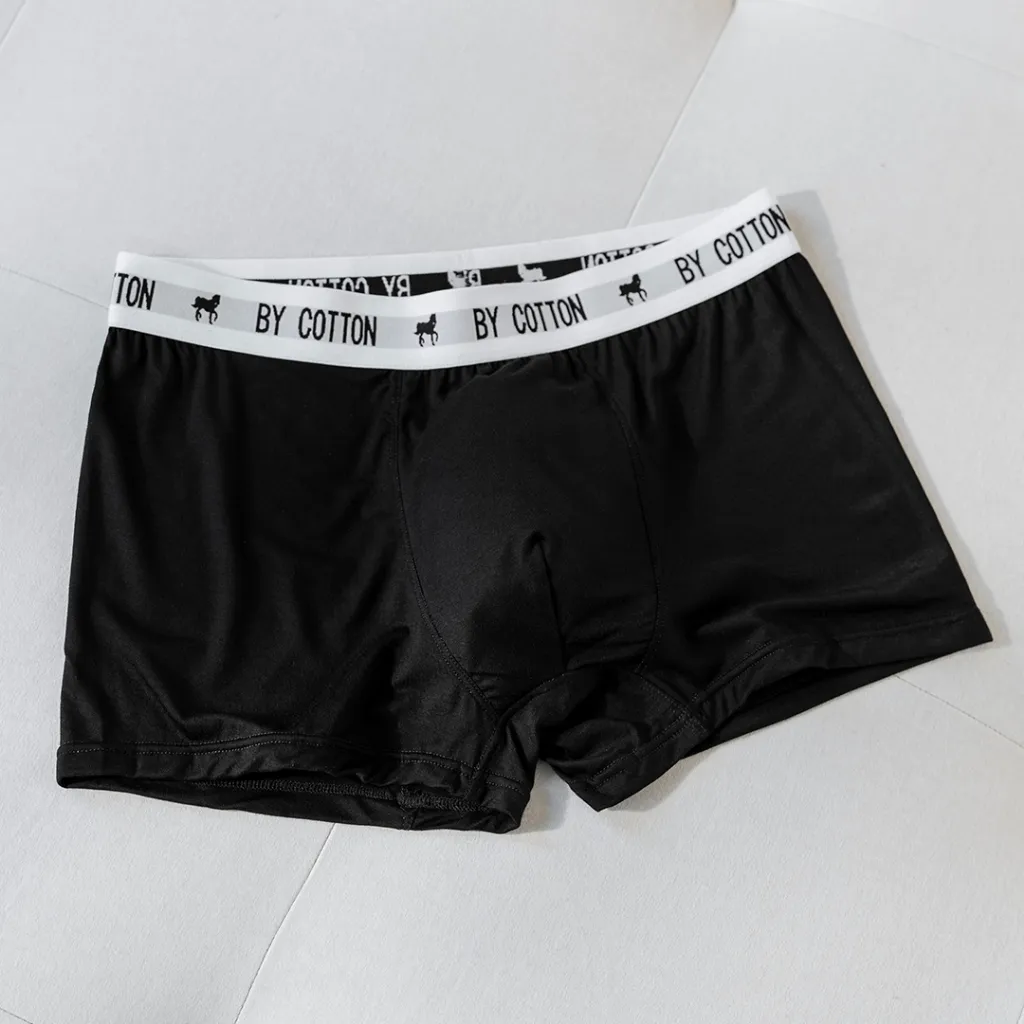 Ảnh Quần Boxer Nam By Cotton Cao Cấp Multi Color 4