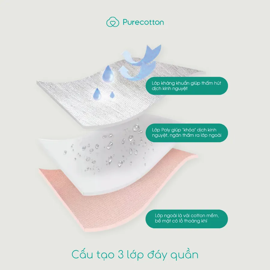 Ảnh Quần lót chống tràn kinh nguyệt Combo Night Purecotton chống tràn nguyệt san Happy Moon PC078 3