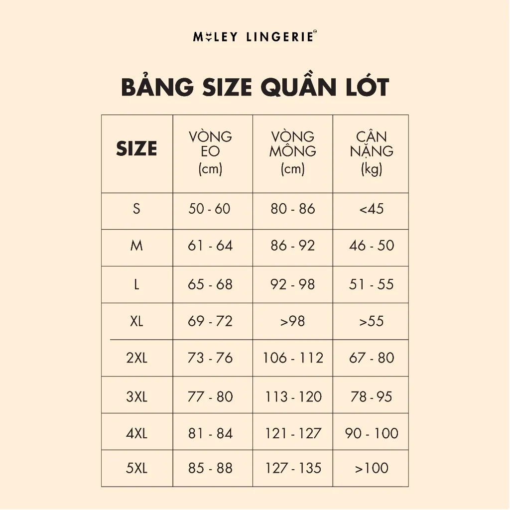 Ảnh Quần Lót Đùi Nữ Mặc Trong Váy Modal Active Miley Lingerie FDS0106 - 0116 4