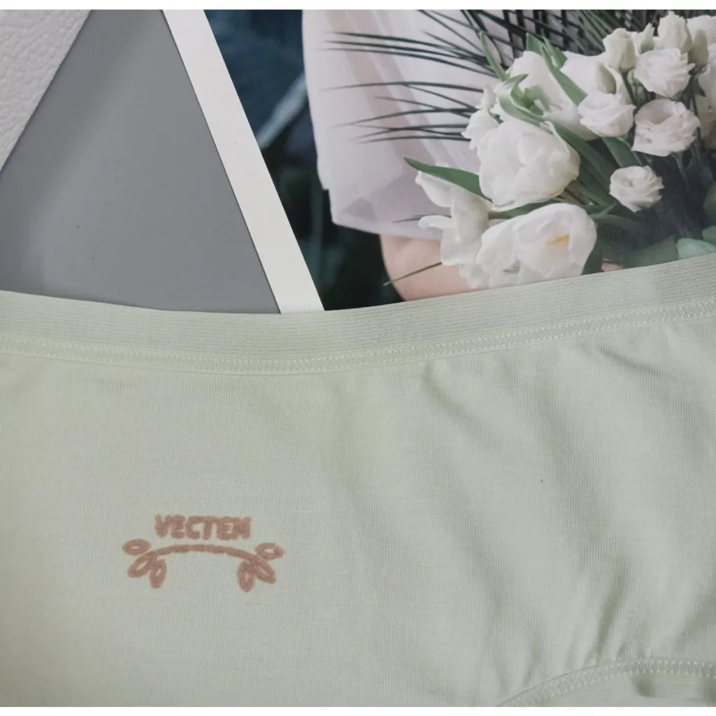 Ảnh Quần lót nữ cotton Vicci cao cấp kháng khuẩn khử mùi thông hơi thoáng khí đường viền mỏng QV.31 3