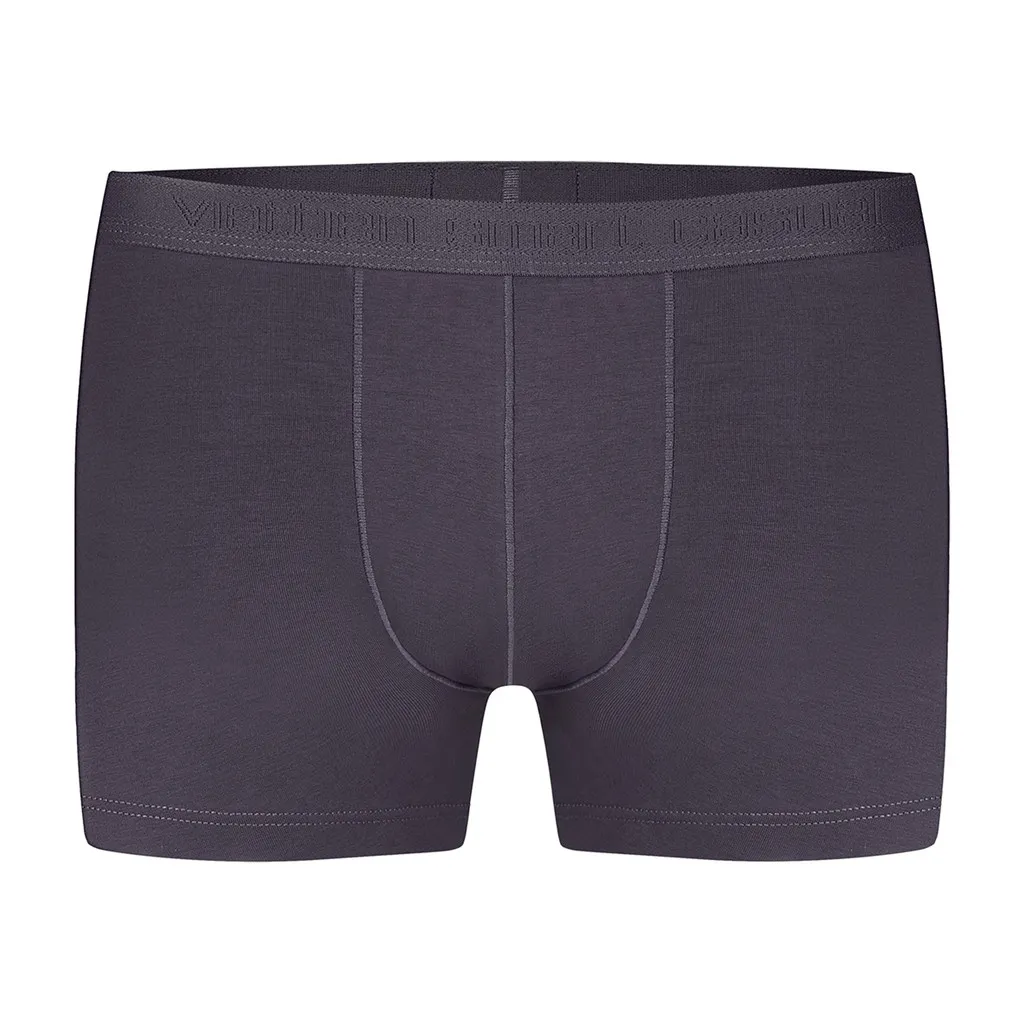 Ảnh Quần lót VIETTIEN SMART CASUAL vải cotton phom regular VT00000267 3