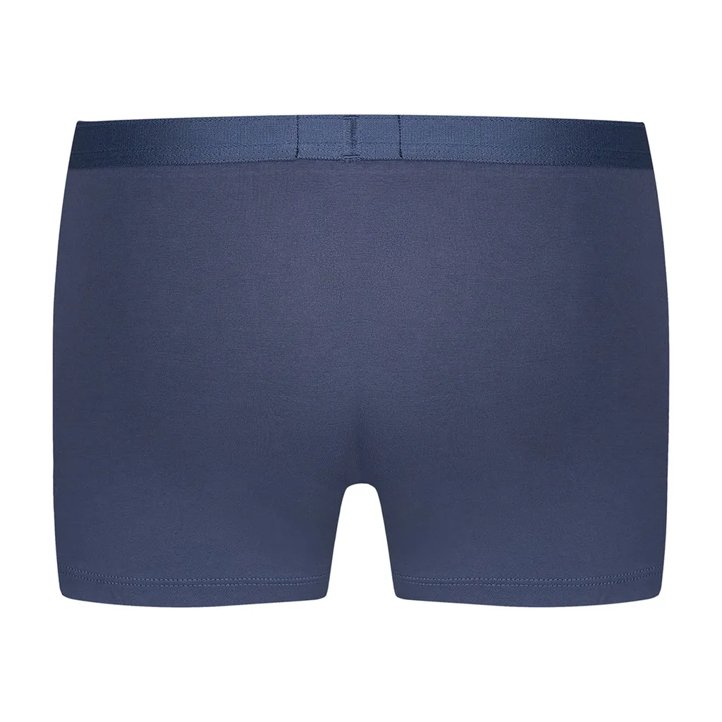Ảnh Quần lót VIETTIEN SMART CASUAL vải cotton phom regular VT00000267 4