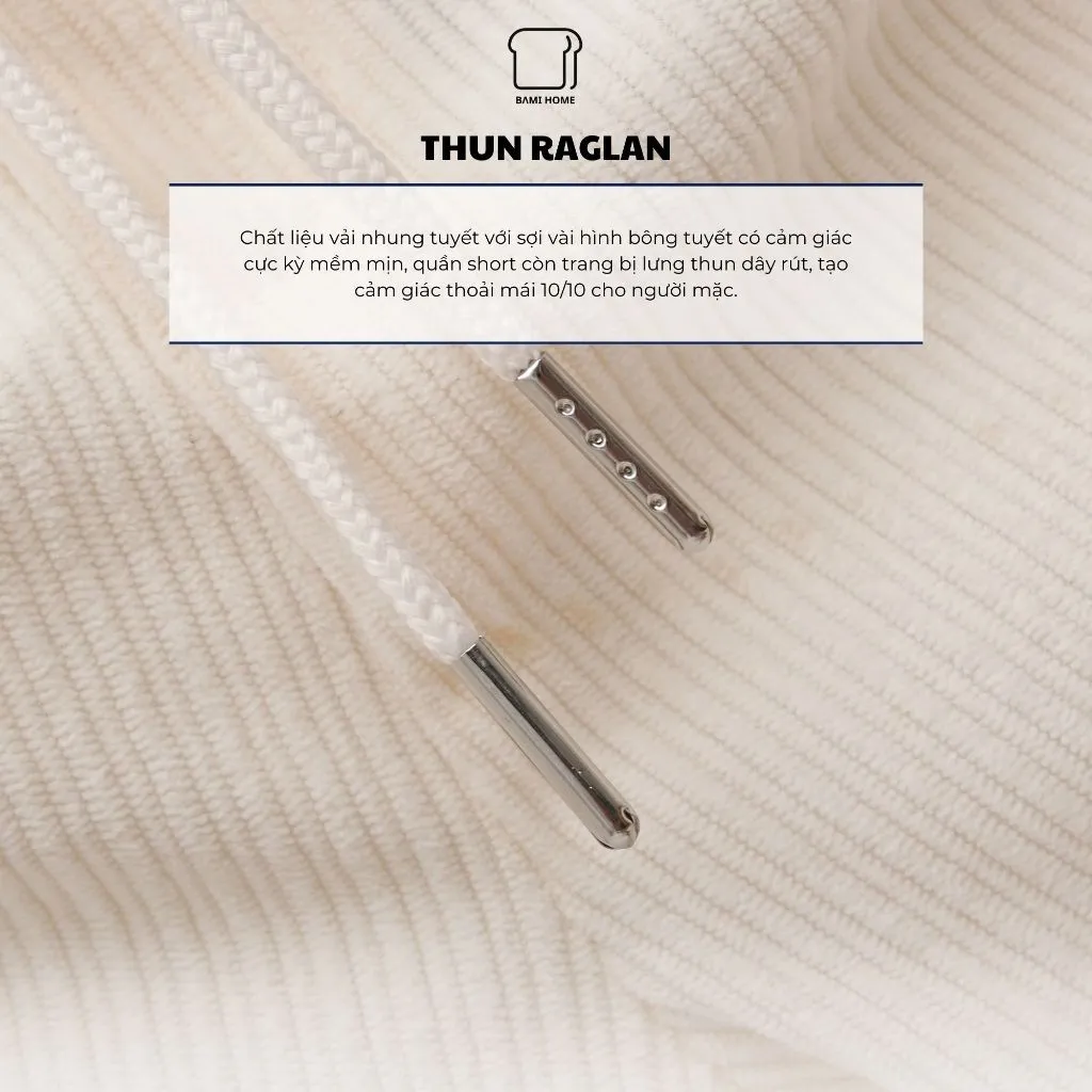 Ảnh Quần short nhung tăm Nam Nữ BAMI HOME cao cấp form regular năng động thoải mái QNG02 4