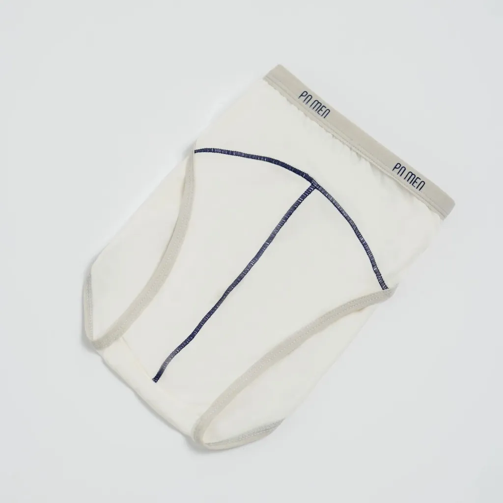 Ảnh Quần sịp nam cao cấp Phan Nguyễn, chất liệu cotton mềm mại, thoáng mát, thấm hút tốt, kiểu dáng tam giác BRI.005 3