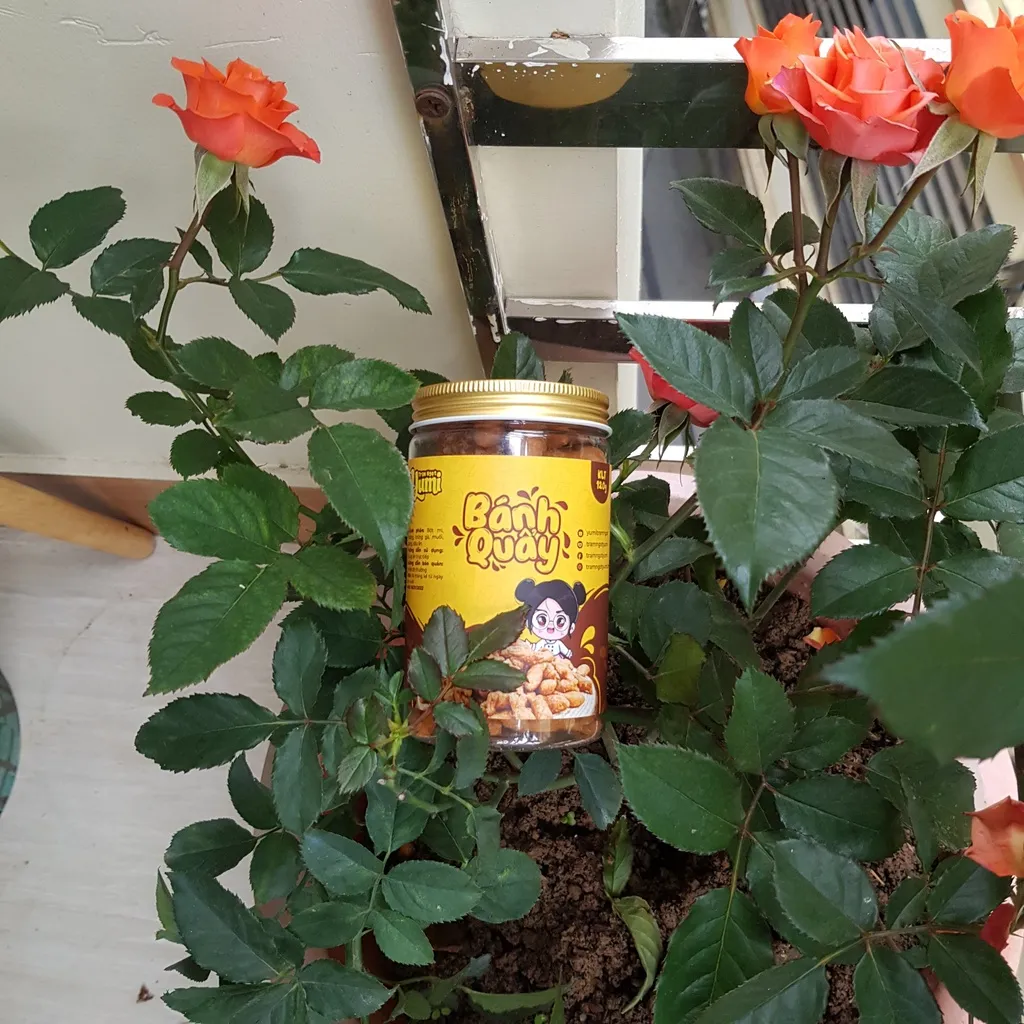 Ảnh Quẩy cá phủ đường Yumi bánh ngọt ăn vặt giòn rụm thơm ngon 2