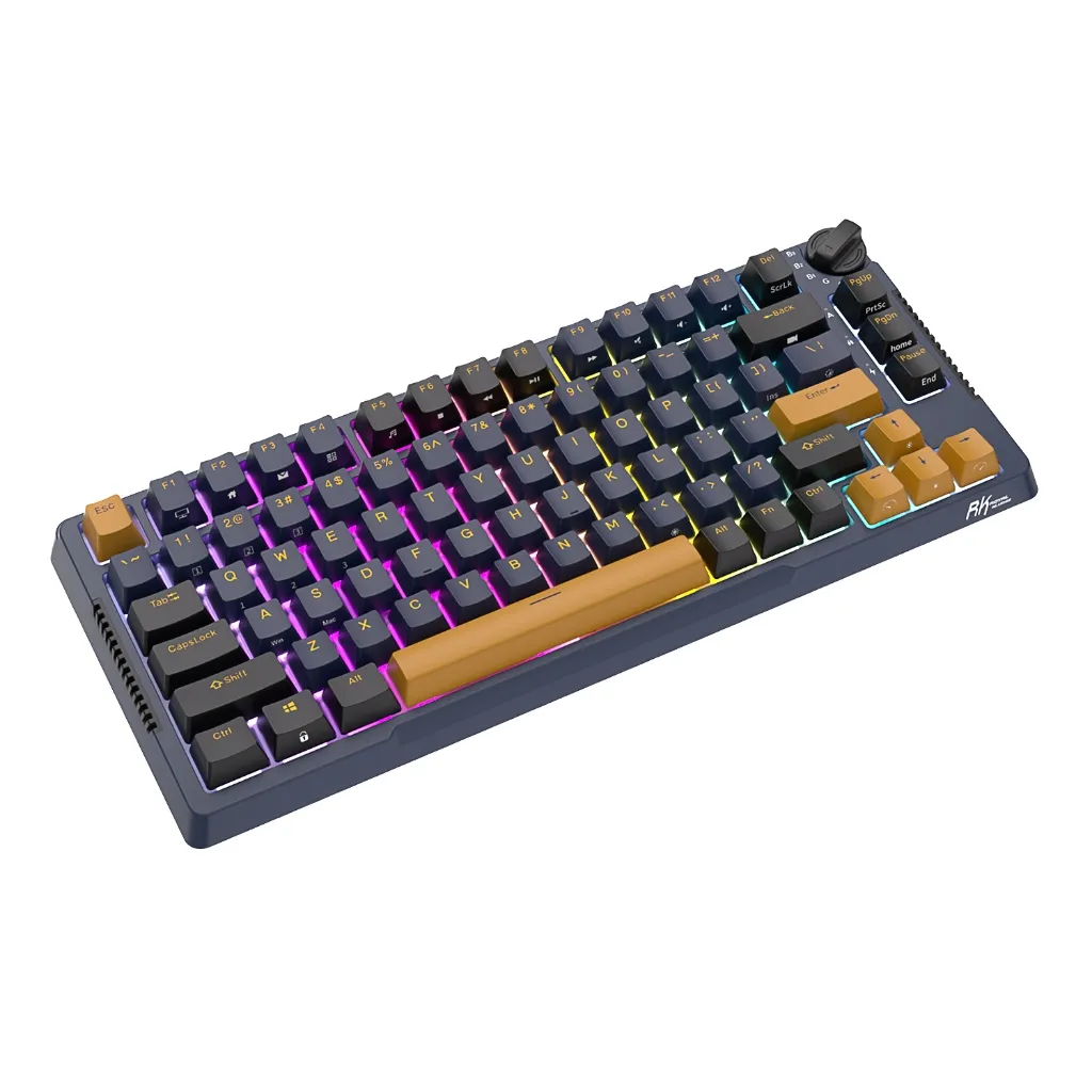 Ảnh Rk H81 Máy Thời Gian Màu Sắc Phù Hợp Với Royal Kludge 81 Phím Ba Chế Độ Cấu Trúc Bàn Phím Rgb Cáp 2.4g Không Dây Ba Chế Độ 81 Chìa Khóa 3