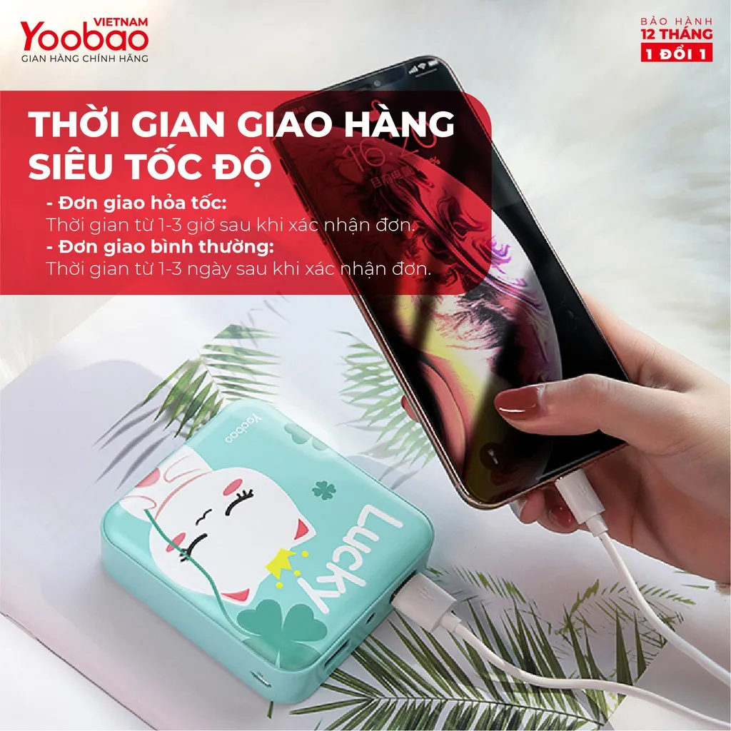 Ảnh SẠC DỰ PHÒNG 10000mAh YOOBAO YB-6024 - Kèm đèn LED - Sạc đồng thời 2 thiết bị - Hãng phân phối chính thức 4