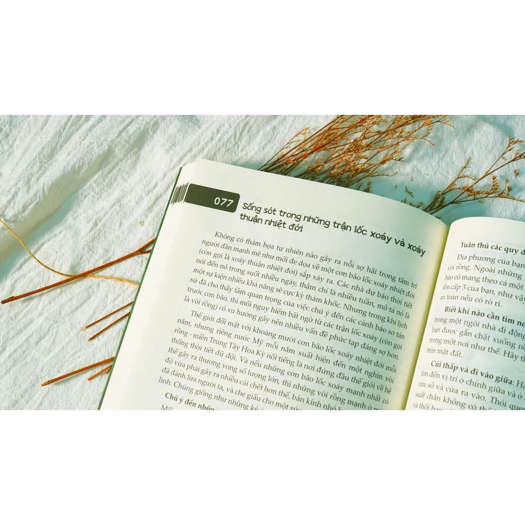Ảnh Sách - 100 kỹ năng sinh tồn - Đinh Tị Books 2