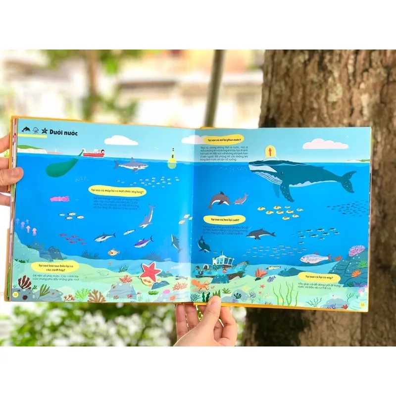 Ảnh Sách 1001 câu hỏi đáp về thế giới quanh ta - Tại sao? - đinh tị 3