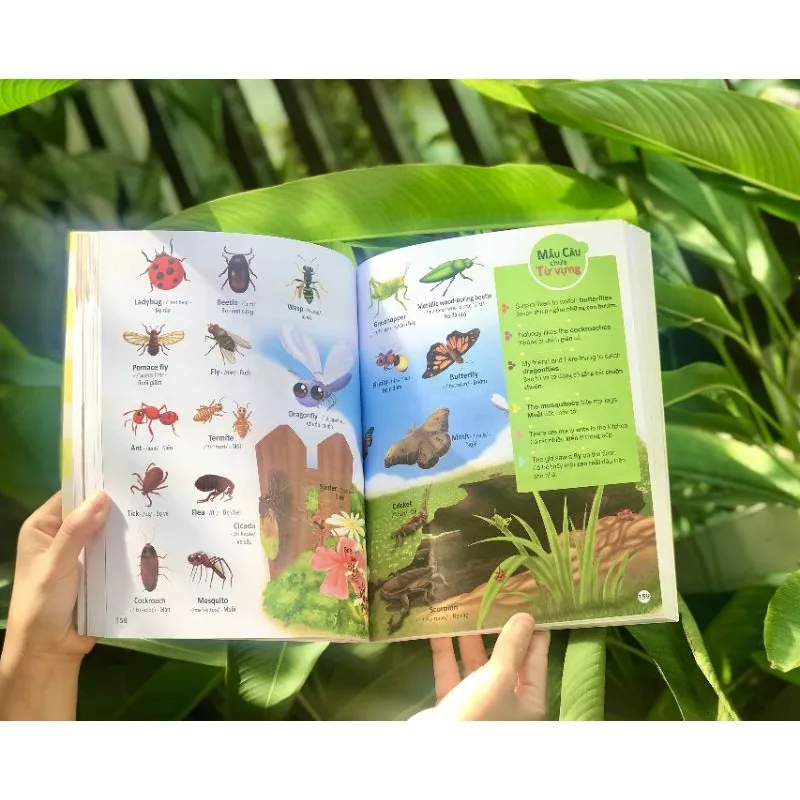 Ảnh Sách - 4000 từ vựng và mẫu câu tiếng Anh thiết yếu cho trẻ em 3