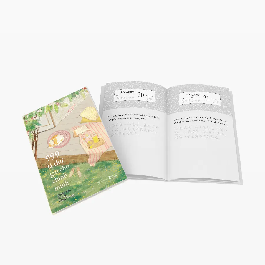 Ảnh Sách - 999 Lá Thư Gửi Cho Chính Mình - Phiên Bản TÔ CHỮ Tiếng Trung 2