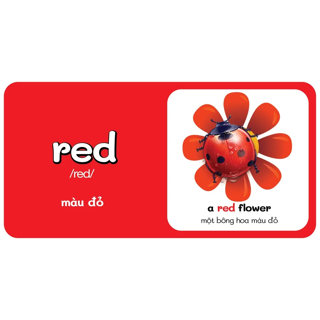 Ảnh Sách - Baby'S First Picture Dictionary - Từ Điển Bằng Hình - Màu sắc - Colours (các trang đều là Bìa Cứng chống nước) 1