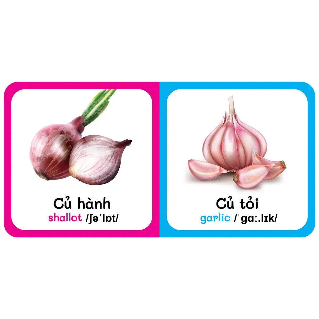 Ảnh Sách - Baby'S First Picture Dictionary - Từ Điển Bằng Hình Đầu Tiên Của Bé - Rau Củ - Vegetable (Bìa Cứng) 1