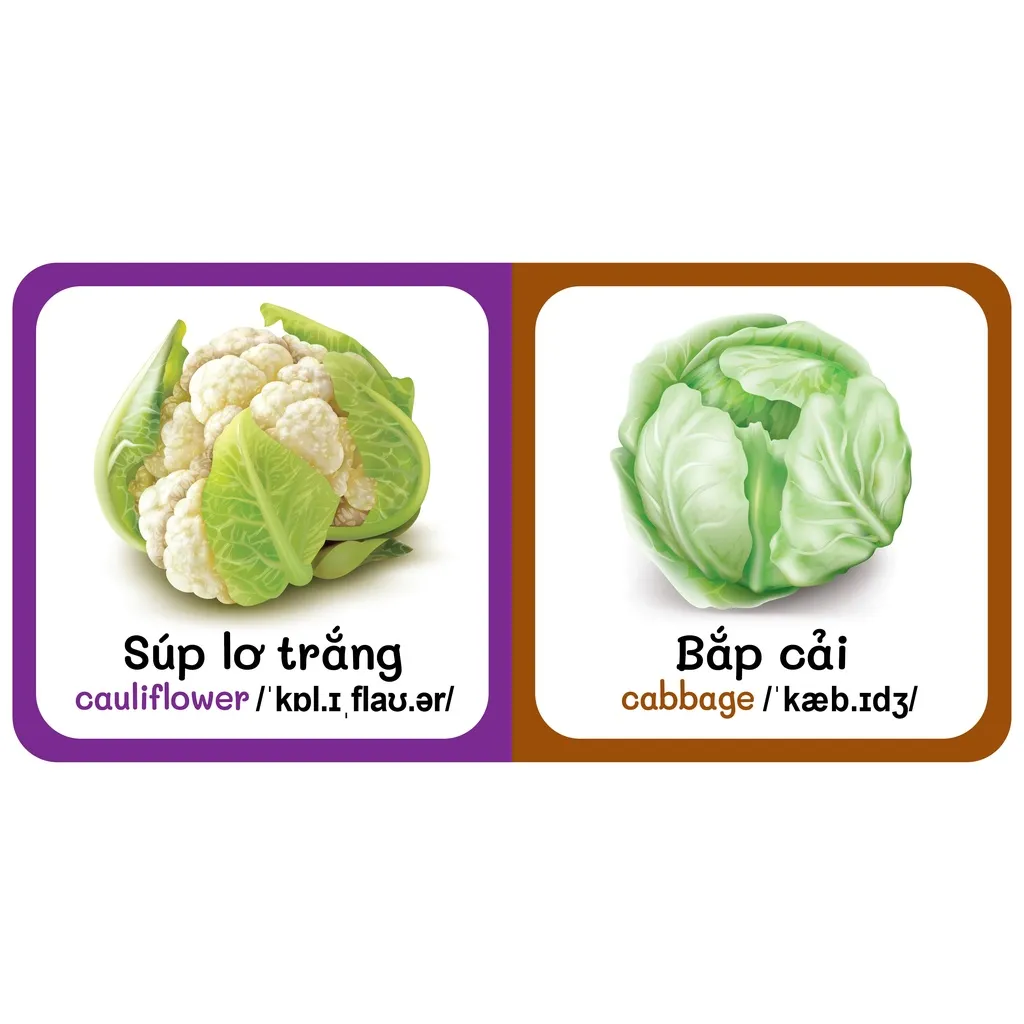 Ảnh Sách - Baby'S First Picture Dictionary - Từ Điển Bằng Hình Đầu Tiên Của Bé - Rau Củ - Vegetable (Bìa Cứng) 3