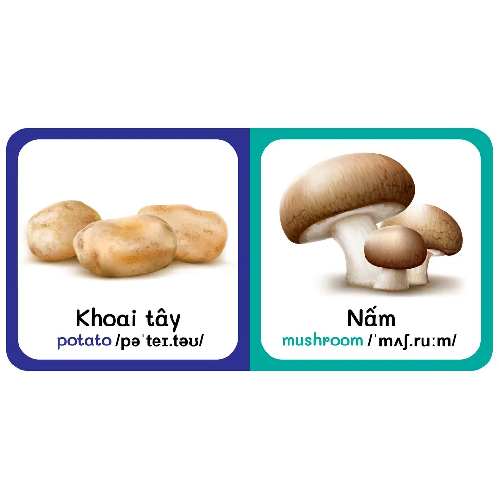 Ảnh Sách - Baby'S First Picture Dictionary - Từ Điển Bằng Hình Đầu Tiên Của Bé - Rau Củ - Vegetable (Bìa Cứng) 4