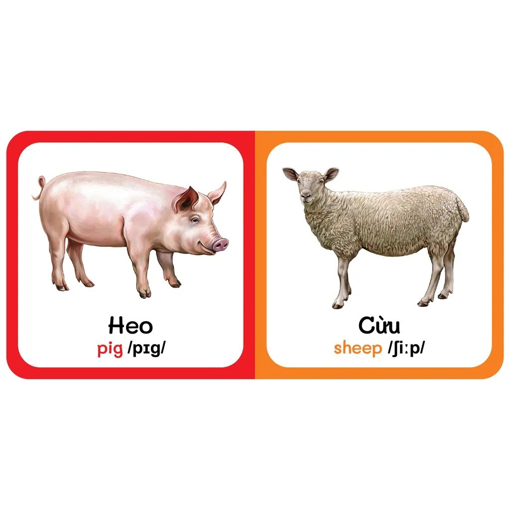 Ảnh Sách - Baby'S First Picture Dictionary -Từ Điển Bằng Hình Đầu Tiên Của Bé - Động vật Nuôi - Farm AniMals (Bìa Cứng) (VT) 1