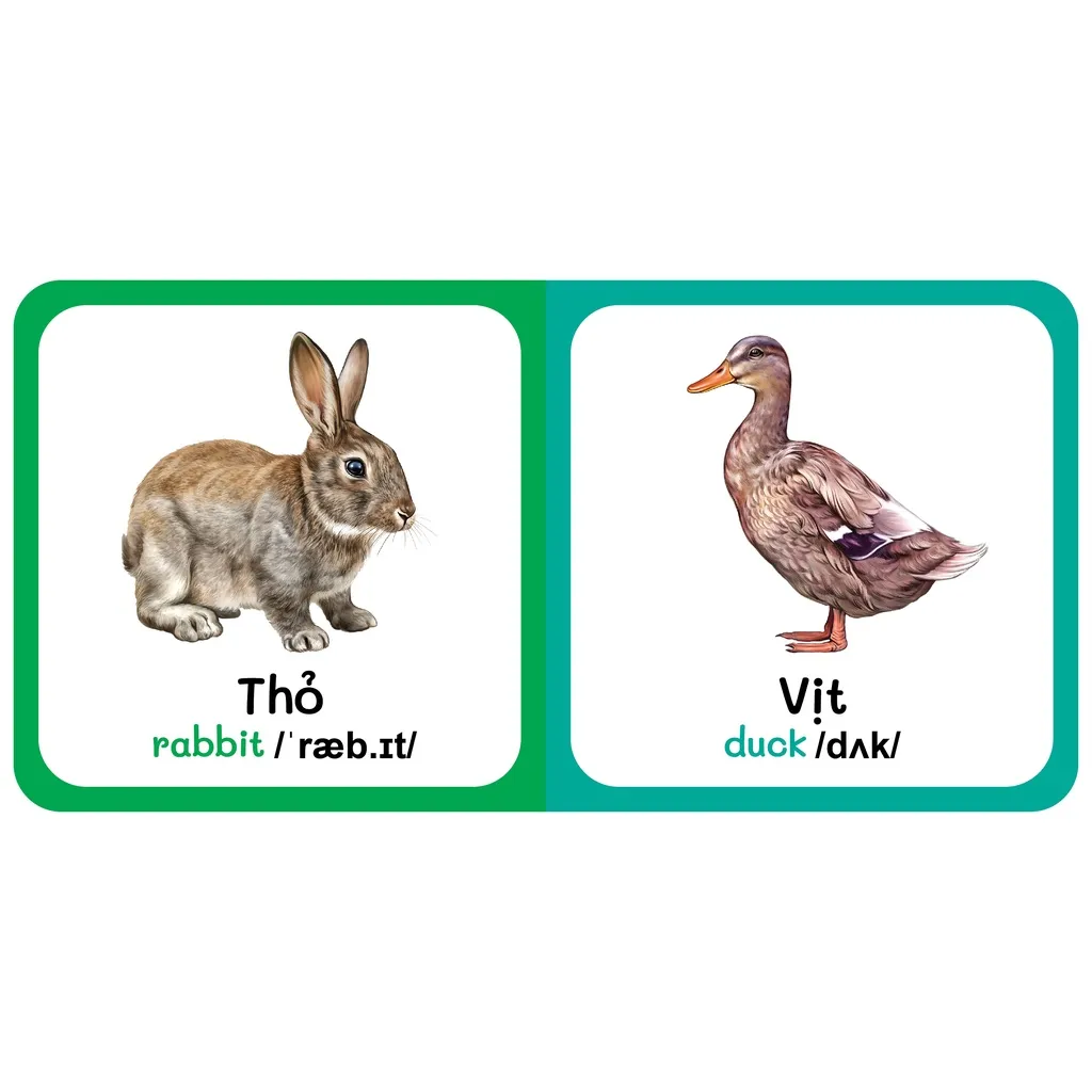 Ảnh Sách - Baby'S First Picture Dictionary -Từ Điển Bằng Hình Đầu Tiên Của Bé - Động vật Nuôi - Farm AniMals (Bìa Cứng) (VT) 2