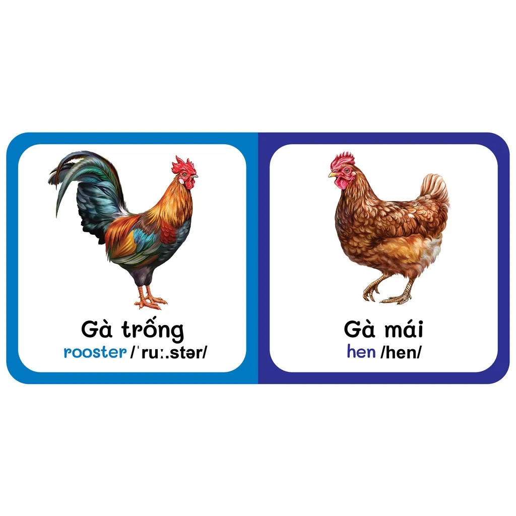 Ảnh Sách - Baby'S First Picture Dictionary -Từ Điển Bằng Hình Đầu Tiên Của Bé - Động vật Nuôi - Farm AniMals (Bìa Cứng) (VT) 3