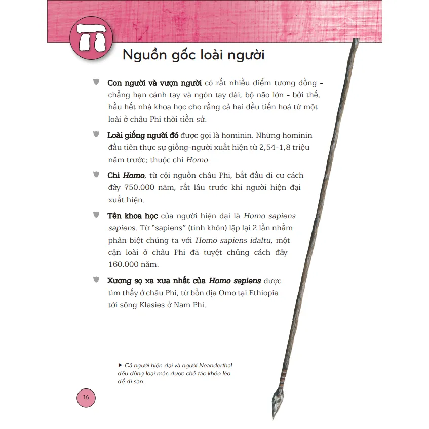 Ảnh Sách - Bách khoa thư lịch sử - Từ tiền sử đến thời đại (bìa cứng) 3