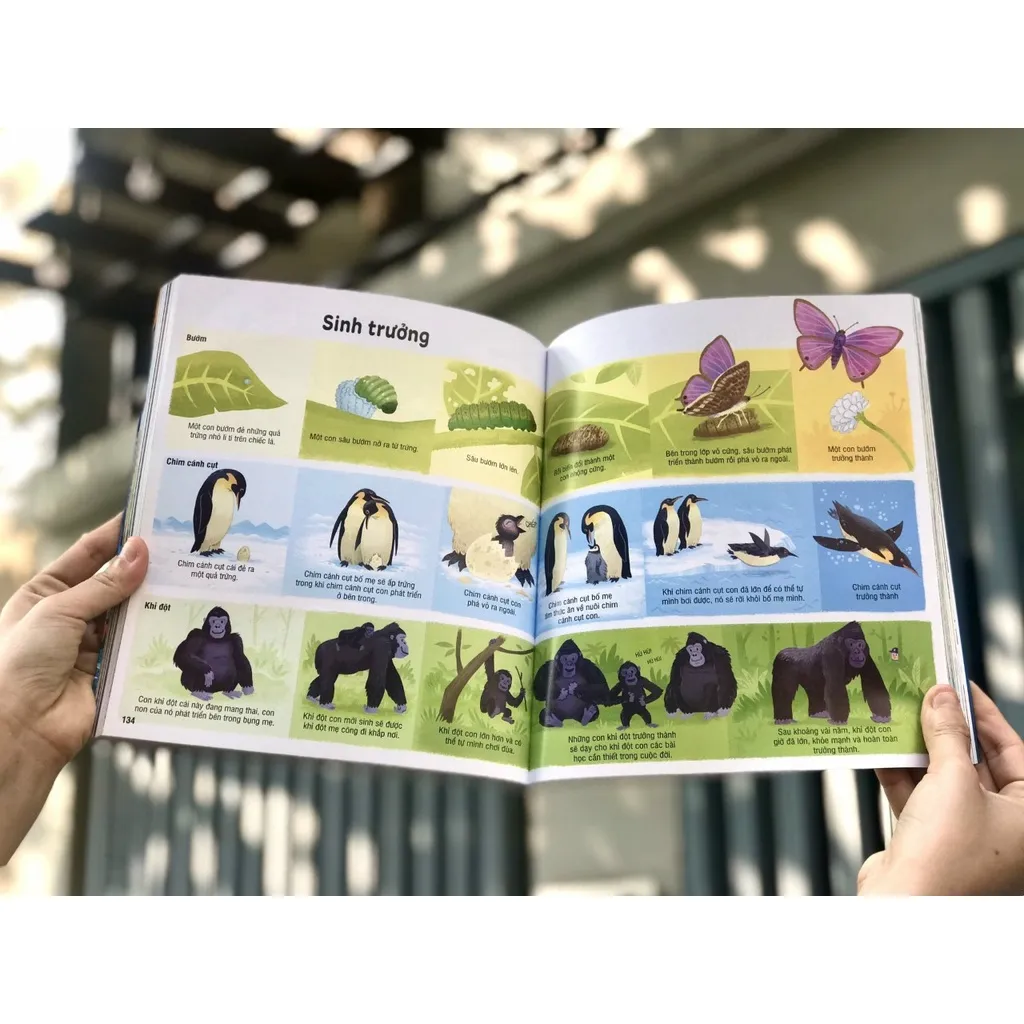 Ảnh Sách - Bách khoa tri thức cho trẻ em Usborne 4