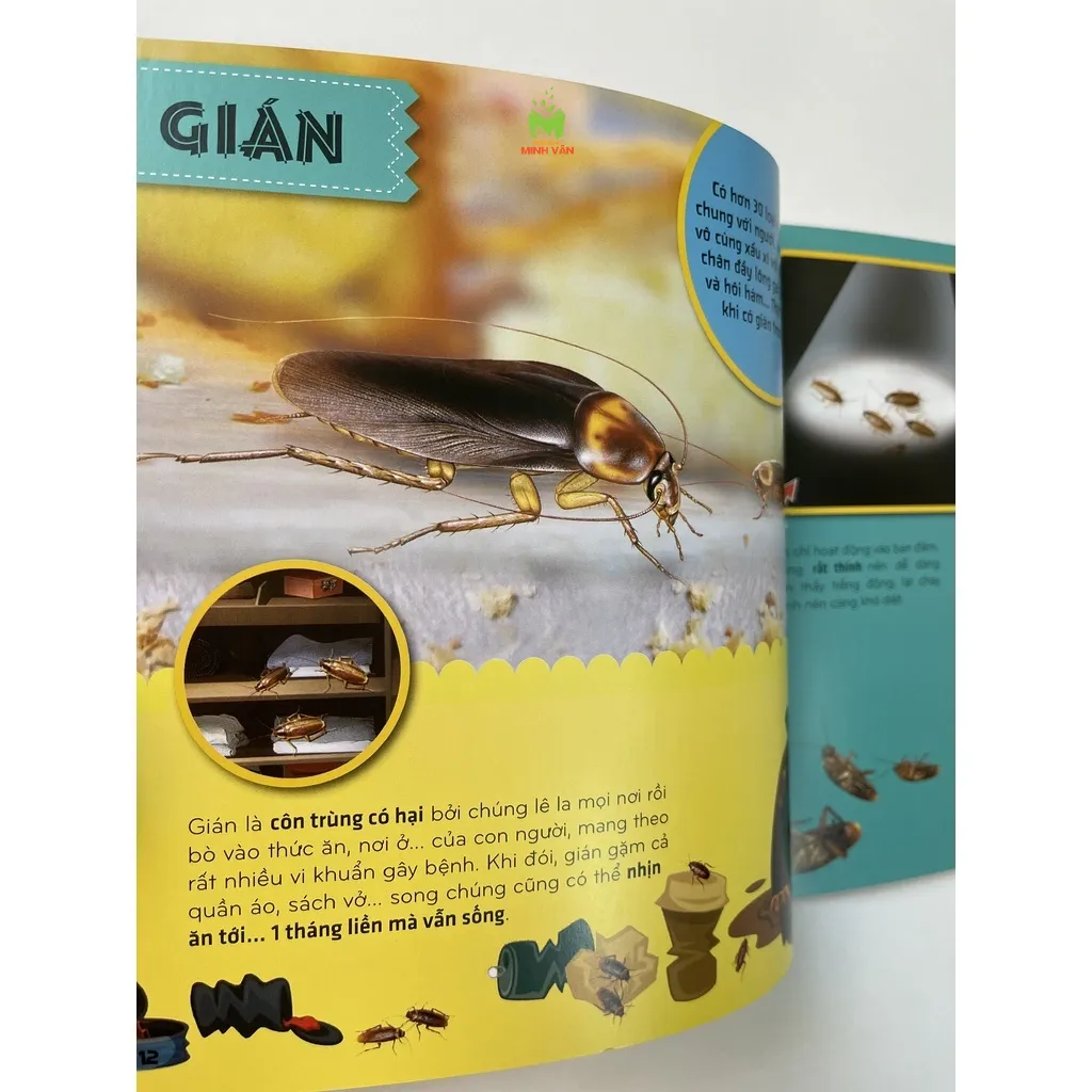 Ảnh Sách – Bí Ẩn Thế Giới Loài Vật : Côn Trùng - Thú – Chim – Bò Sát & Lưỡng Cư - Thân mềm & Giáp Xác - Cá 2