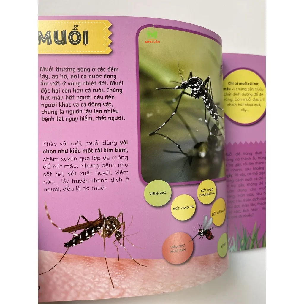 Ảnh Sách – Bí Ẩn Thế Giới Loài Vật : Côn Trùng - Thú – Chim – Bò Sát & Lưỡng Cư - Thân mềm & Giáp Xác - Cá 3