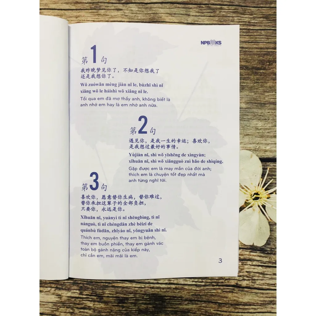 Ảnh Sách - Bí kíp thả thính song ngữ trung Việt - Có phiên âm tiếng trung 1