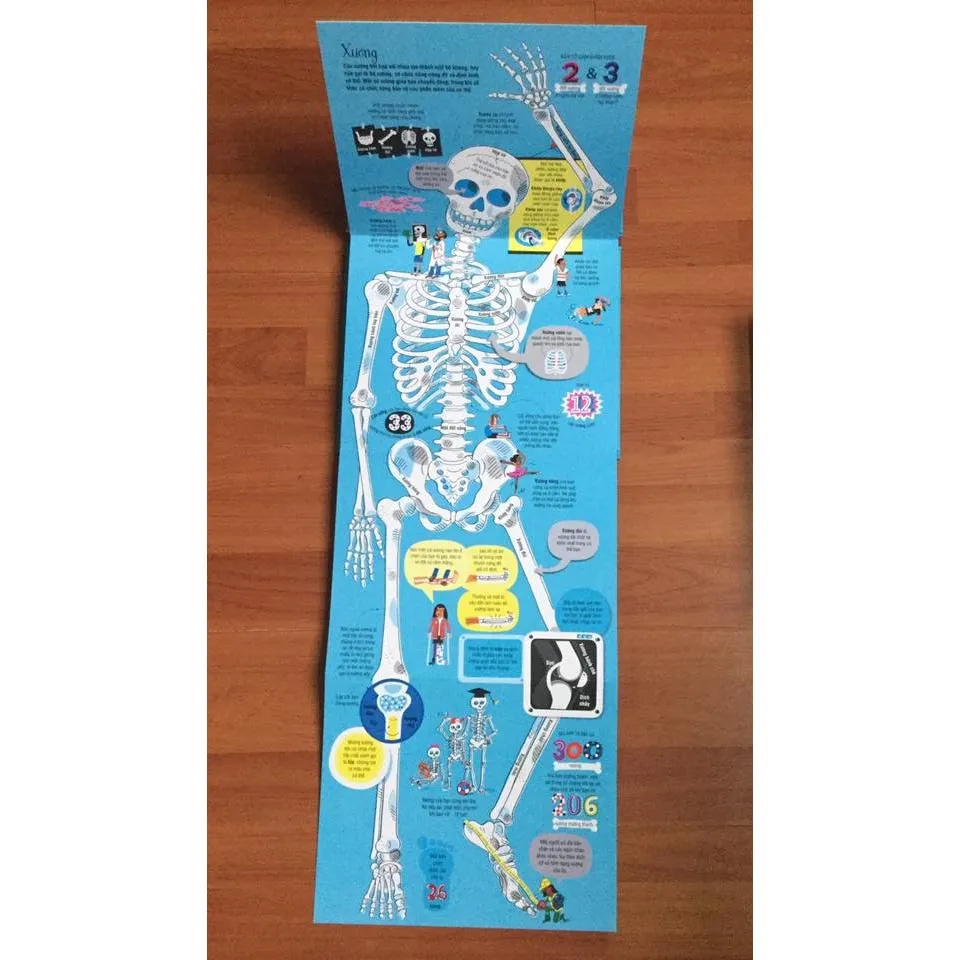 Ảnh Sách big book -  Khổng Lồ - bộ 15 cuốn 3