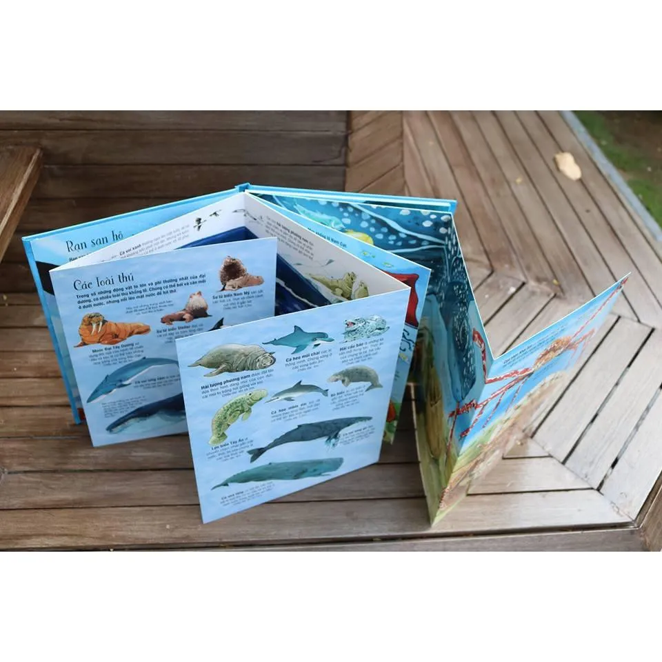 Ảnh Sách big book -  Khổng Lồ - bộ 15 cuốn 4
