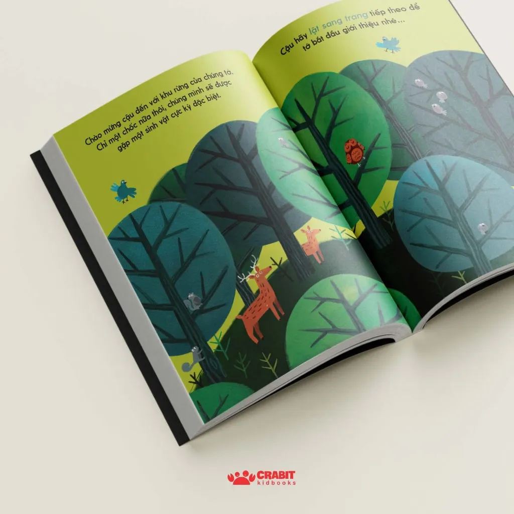 Ảnh Sách - Bộ Đây Là - Sách lật mở tương tác Crabit Kidbooks 1