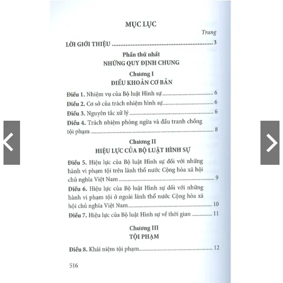 Ảnh Sách - Bộ Luật Hình Sự Năm 2015 (Sửa đổi, bổ sung năm 2017) 4