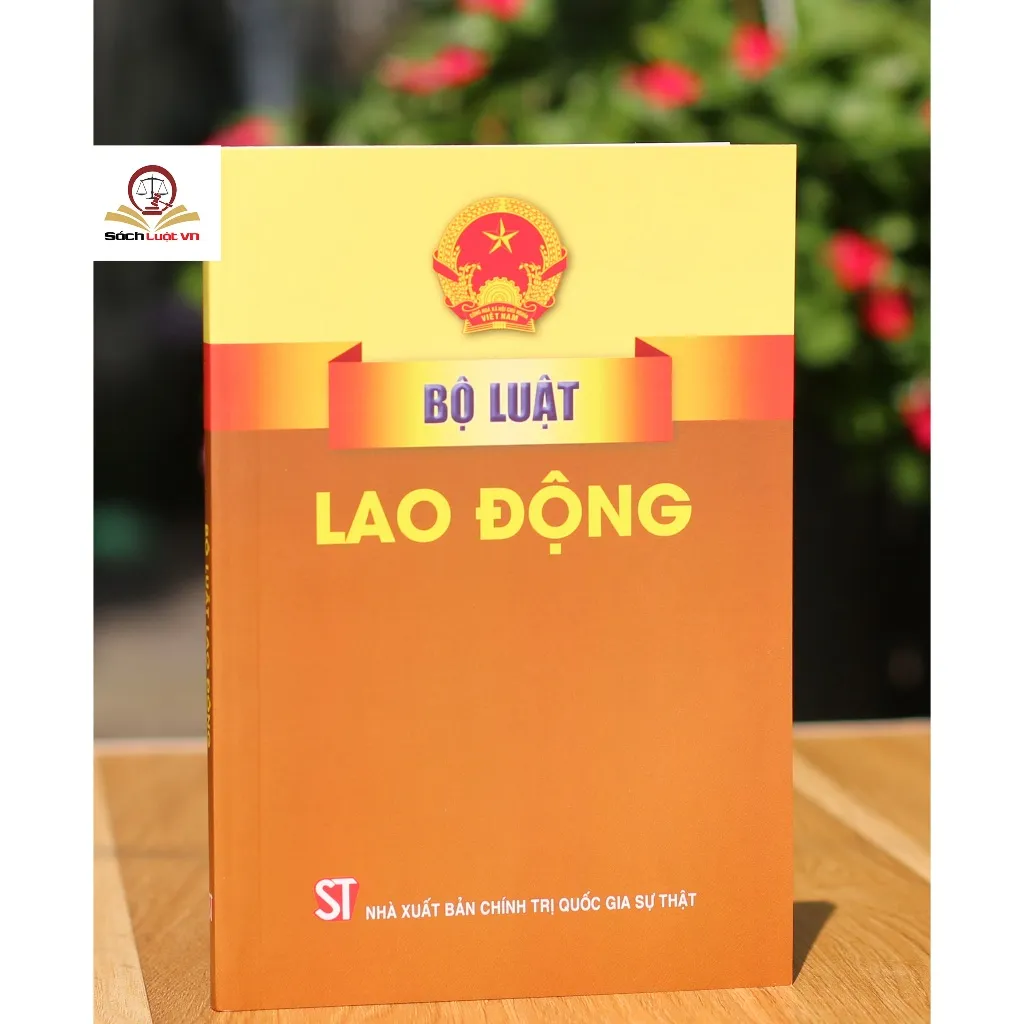 Ảnh Sách- Bộ luật lao động (Hiện hành) 1