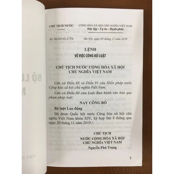 Ảnh Sách - Bộ luật Lao động (NXB Lao động) 3