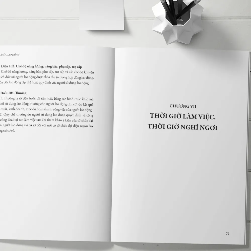 Ảnh Sách - Bộ Luật Lao Động Hiện Hành (Mới Nhất) Thông Qua Tại Kỳ Họp Thứ 8 Quốc Hội Khóa XIV 3