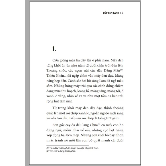 Ảnh Sách – Búp Sen Xanh (Sơn Tùng) 2