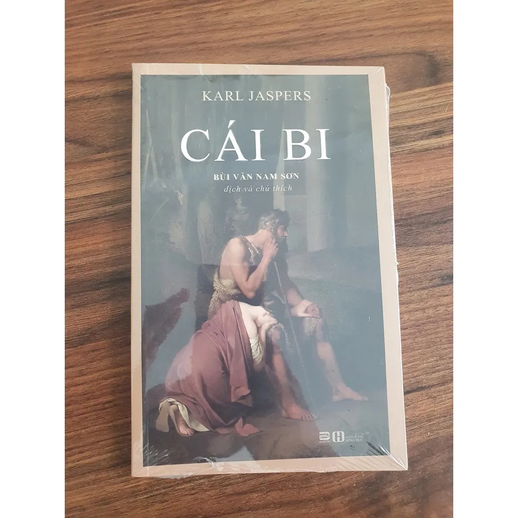 Ảnh Sách - Cái Bi (Tiểu Thuyết) 1