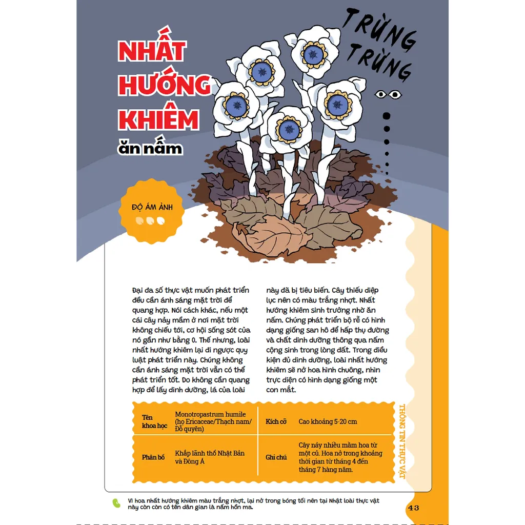 Ảnh Sách - Cẩm nang cỏ cây kì quái - Tất tần tật về những loài thực vật thú vị và quái dị quanh ta 3