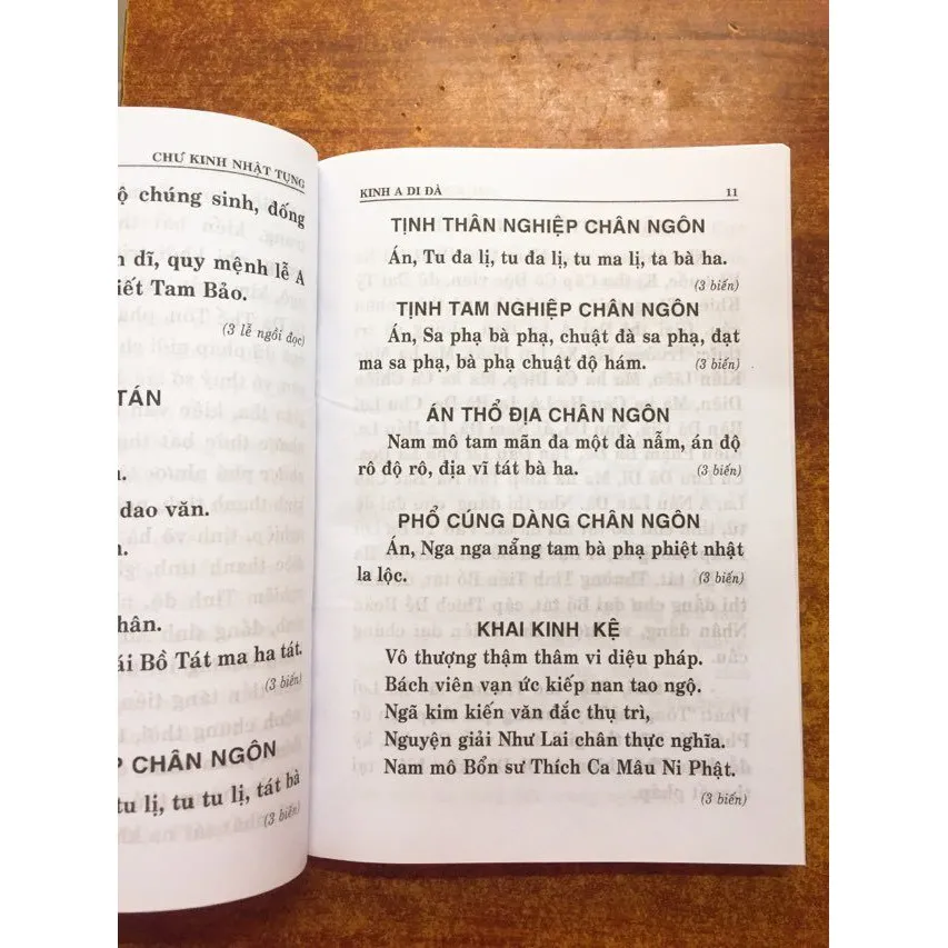 Ảnh Sách - Chư Kinh Nhật Tụng 2