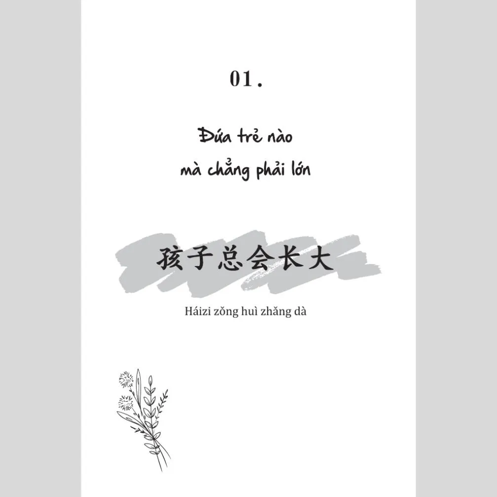 Ảnh Sách Chưa kịp lớn đã phải trưởng thành - Quyển 2 - 还没长大就要学着成熟了 - Phiên bản song ngữ Việt - Trung (TimeBooks) 2