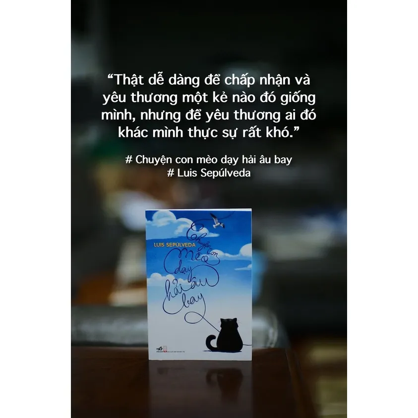 Ảnh Sách - Chuyện Con Mèo Dạy Hải Âu Bay - Nhã Nam 1