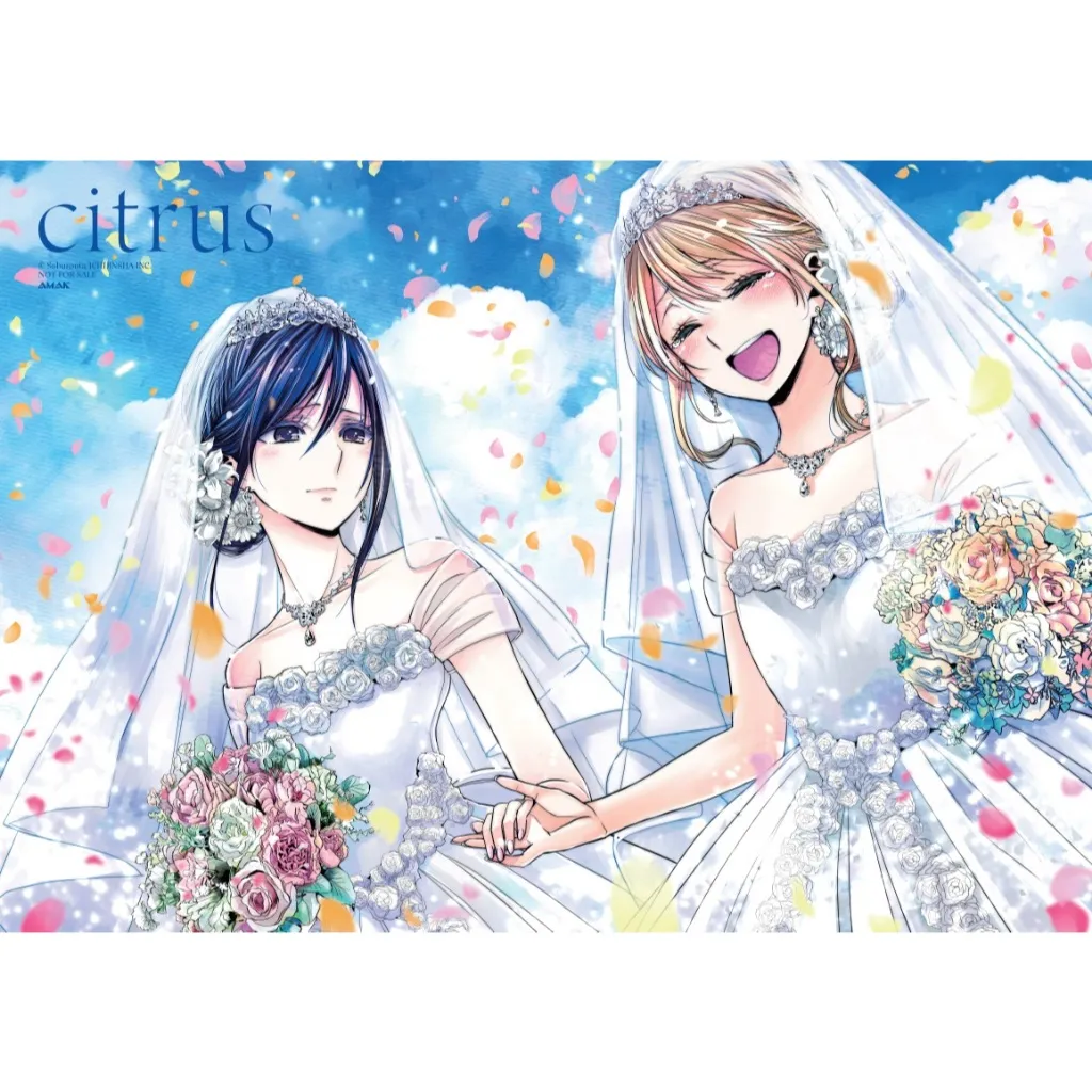 Ảnh Sách - Citrus - Tập 10 1