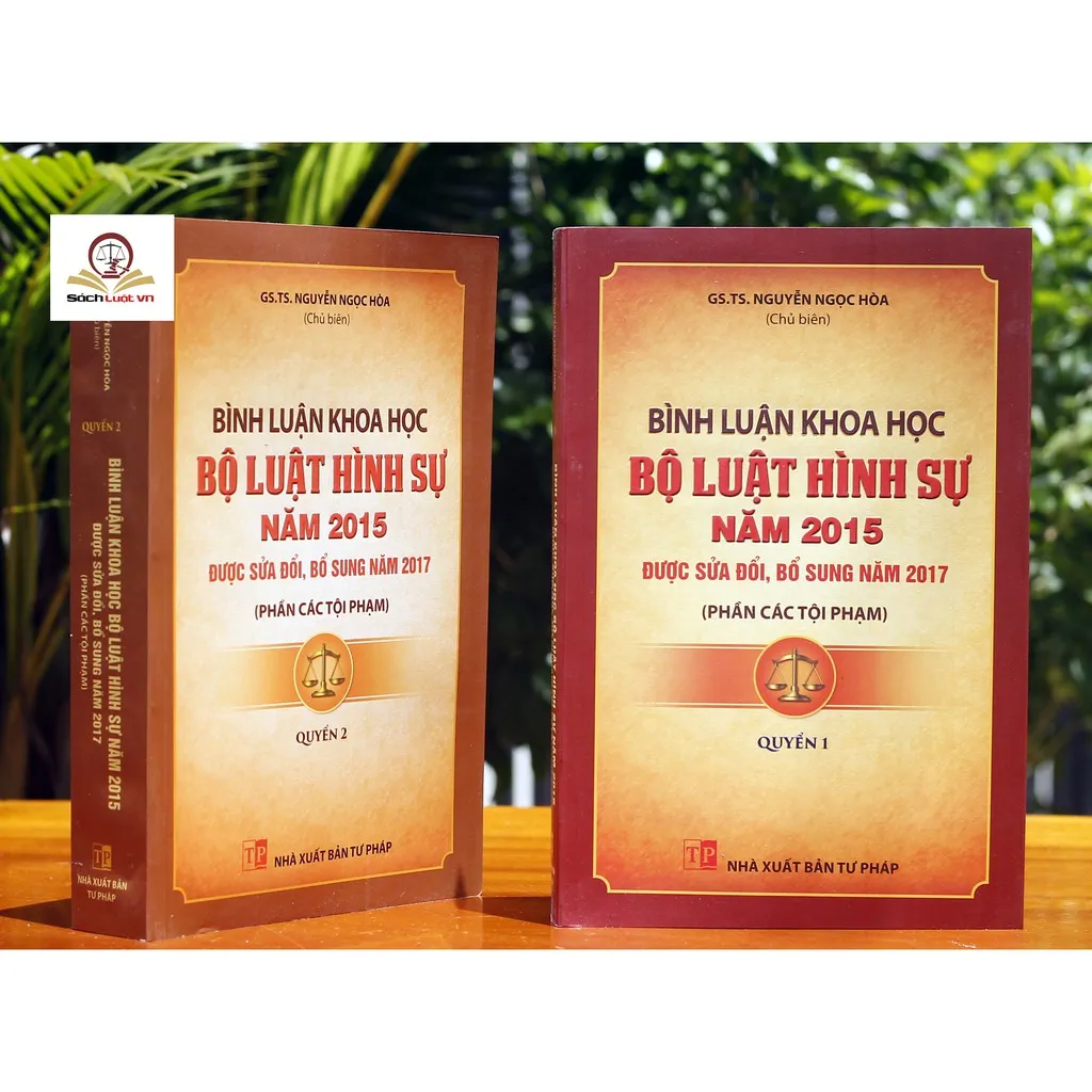 Ảnh Sách - Combo Bình luận khoa học bộ luật hình sự năm 2015 sửa đổi bổ sung năm 2017 phần tội phạm 1