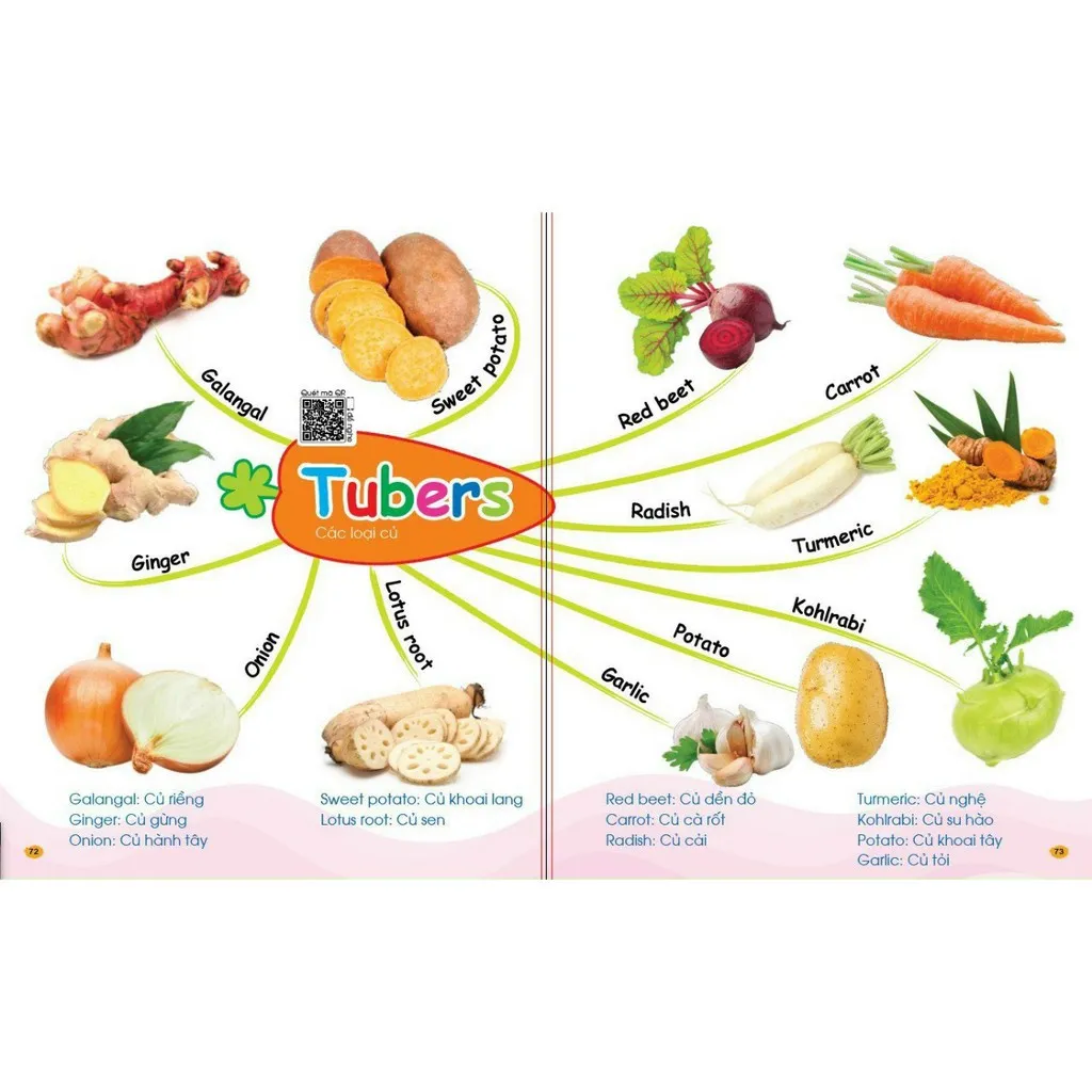 Ảnh Sách - Combo Mindmap Chinh Phục Từ Vựng Tiếng Anh Theo Sơ Đồ Tư Duy Mind Map - 1001 Mẫu Câu Tiếng Anh Giao Tiếp (2 Cuốn) 4