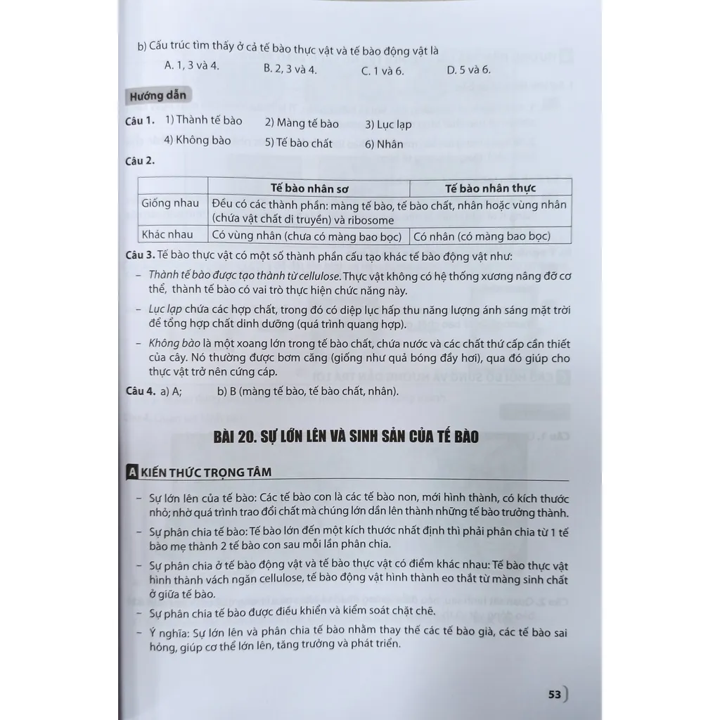 Ảnh Sách - Để học tốt Khoa Học Tự Nhiên lớp 6 (Kết nối tri thức với cuộc sống) 1